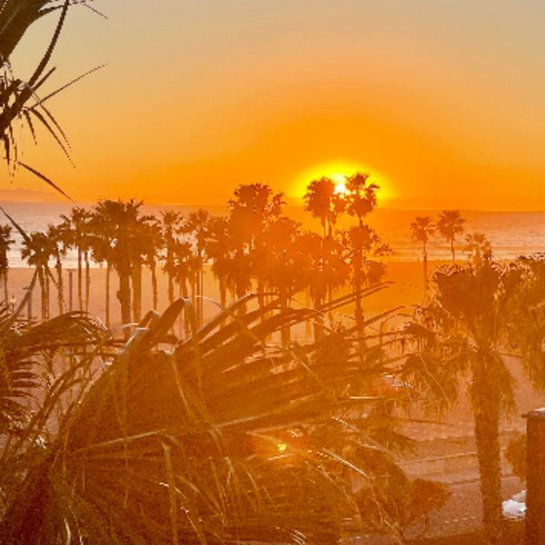 Roll into a Better Career - Huntington Beach Certification Program