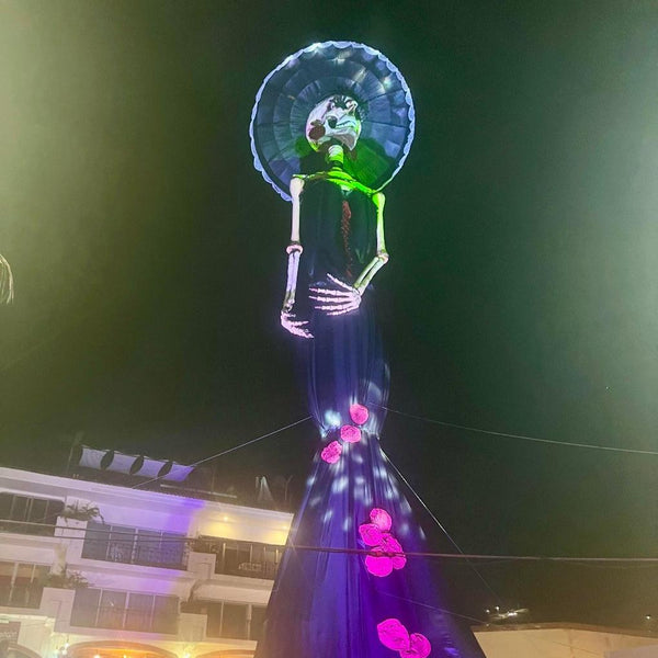 Rollology Rejuvenation Retreat in Puerto Vallarta Mexico